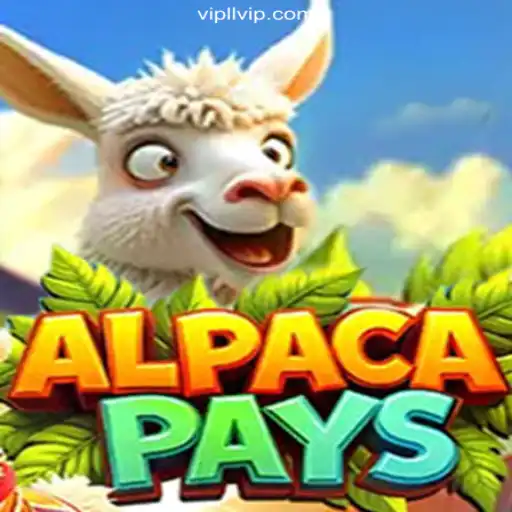 Dive into AlpacaPays: The Exciting Number One Betting Platform in Brazil